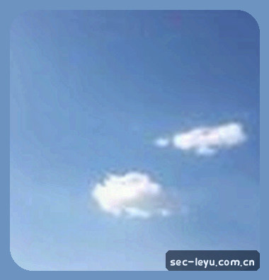 张欣